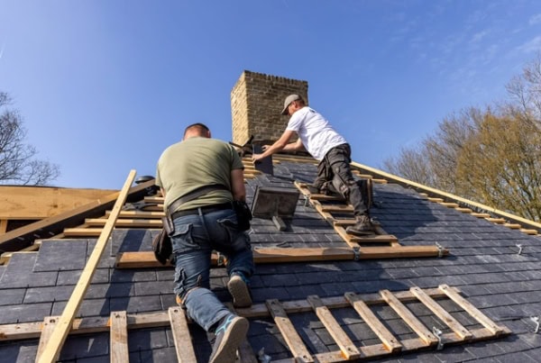 (Aankomend) Leidekker / Dakdekker Hellend